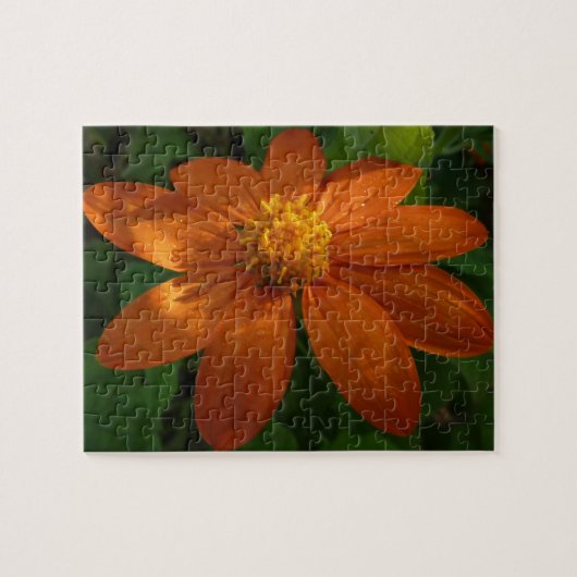Puzzle Lever du soleil sur le tournesol mexicain Orange F (Horizontal)