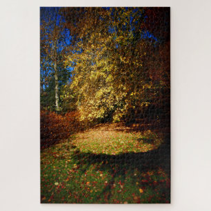 Puzzle L'explosion d'automne sur la promenade Stourhead.