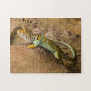 Puzzle Lézard collier
