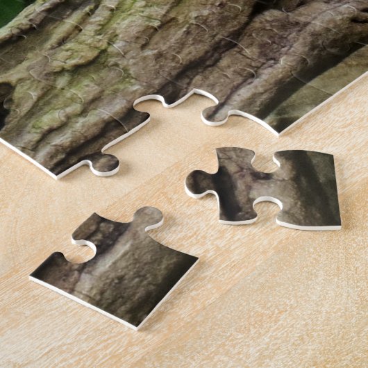 Puzzle Lézard de dragon dormant le long d'une longue bran (Côté)