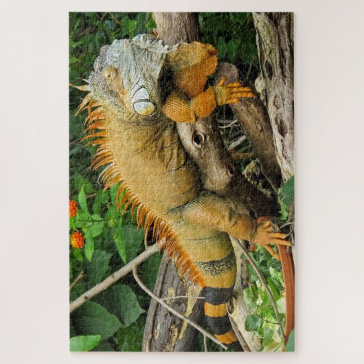 Puzzle Lézard de dragon dormant le long d'une longue bran (Vertical)