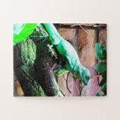 Puzzle Lézard vert (Horizontal)