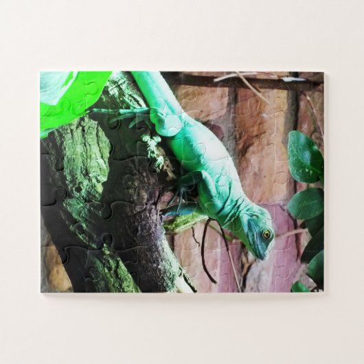 Puzzle Lézard vert (Horizontal)