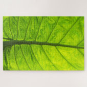 PUZZLE LGL (Horizontal)