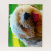 Puzzle Lhassa Apso Chig Se Reproduisent. (Vertical)