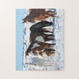 Puzzle L'hiver dans le bassin de lavage de sable
