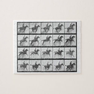 Puzzle L'homme et le cheval sautant une barrière,