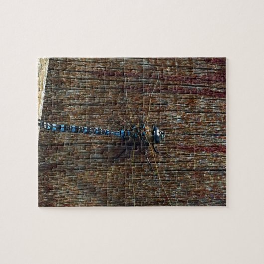 Puzzle libellule (Horizontal)