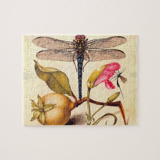 Puzzle Libellule Botanique Nature Faune Hoefnagel Art (Horizontal)