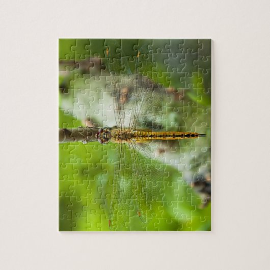 Puzzle libellule - casse-tête (Vertical)