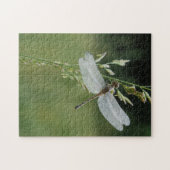 Puzzle Libellule Darner couverte de rosée (Horizontal)