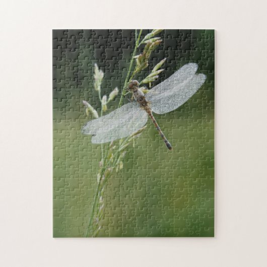 Puzzle Libellule Darner couverte de rosée (Vertical)