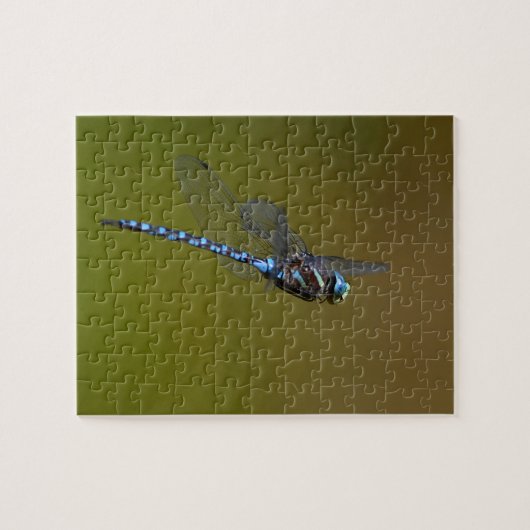 Puzzle libellule en vol (Horizontal)