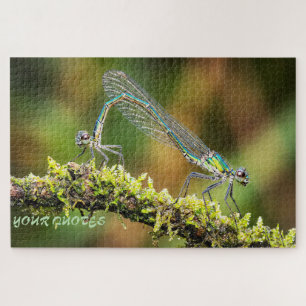 Puzzle Libellules Macro - Amour iridescent sur la mousse