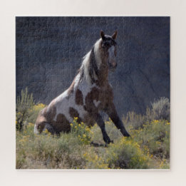 Puzzle L'icône du bassin de lavage de sable