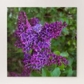 Puzzle Lilacs violets sur une impression acrylique du pri (Horizontal)