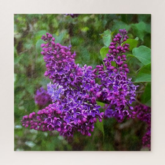 Puzzle Lilacs violets sur une impression acrylique du pri (Vertical)
