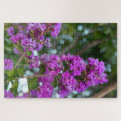 Puzzle Lilas de Chine, Livermore (Horizontal)