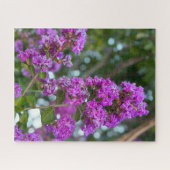 Puzzle Lilas de Chine, Livermore (Horizontal)