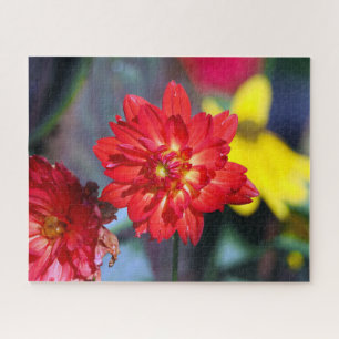 Puzzle L'île de Manhattan Dahlia