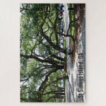 L'île de St Simons vit des chênes