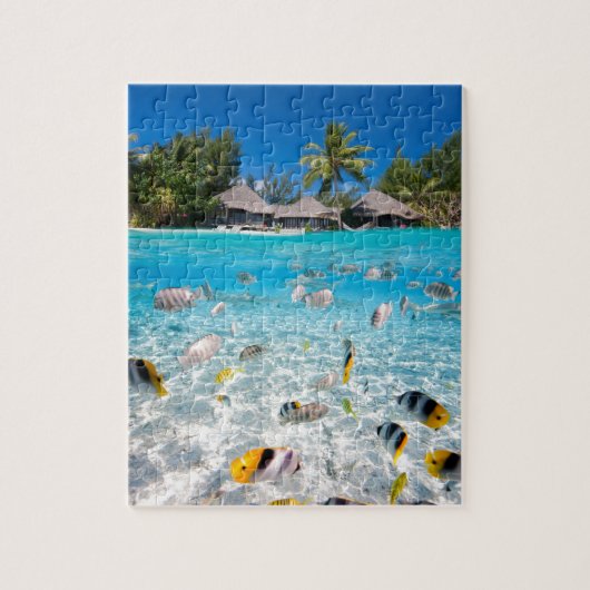 Puzzle L'île tropicale sous et au-dessus de l'eau (Vertical)