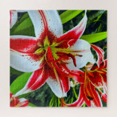 Puzzle Liliums époustouflants (Horizontal)