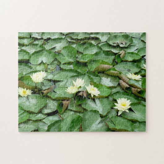 Puzzle Lillies d'eau (Horizontal)