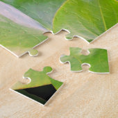 Puzzle Lilly d'eau rose, Fleur Lotus (Côté)