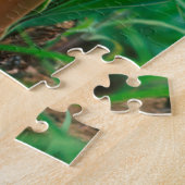 Puzzle Lily africaine (Agapanthus Praecox), Mala Mala (Côté)