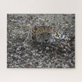 Puzzle Lily en Feuille (Horizontal)