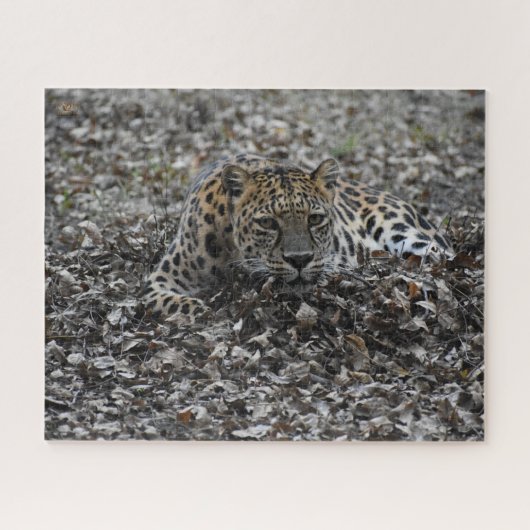 Puzzle Lily en Feuille (Horizontal)