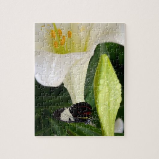 Puzzle Lily et papillon (Vertical)
