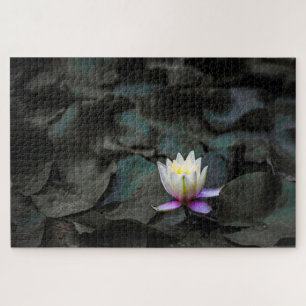 Puzzle Lily Pads