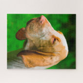 Puzzle Limier (Horizontal)