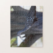 Puzzle Limpkin (Vertical)