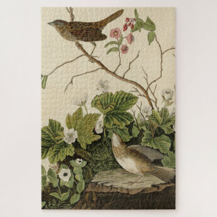 Puzzle Lincoln Finch (Bruant) Audubon's Birds of America