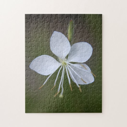 Puzzle Lindheimeri de Gaura - papillons de (Vertical)