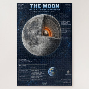 Puzzle L'infographie scientifique en coupe transversale d