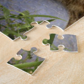 Puzzle Lion (Côté)