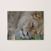 Puzzle Lion (Horizontal)