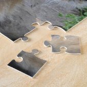 Puzzle Lion (Côté)