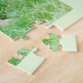 Puzzle Lion (Côté)