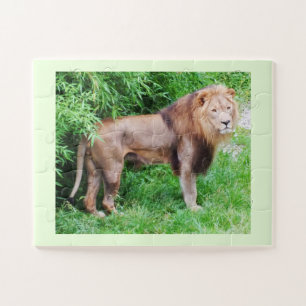 Puzzle Lion