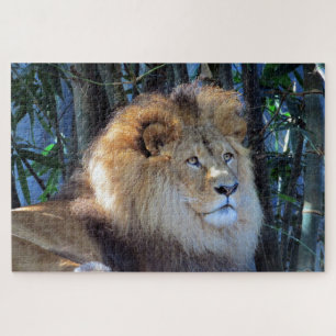 Puzzle lion