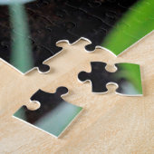 Puzzle Lion 003 par JAMFoto (Côté)
