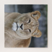 Puzzle Lion 004 (Horizontal)