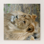 Puzzle Lion 005 par JAMFoto (Horizontal)