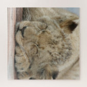 Puzzle Lion 009 par JAMFoto (Horizontal)