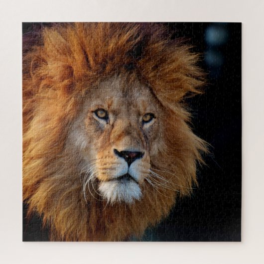 Puzzle Lion 010 by JAMFoto (Vertical)